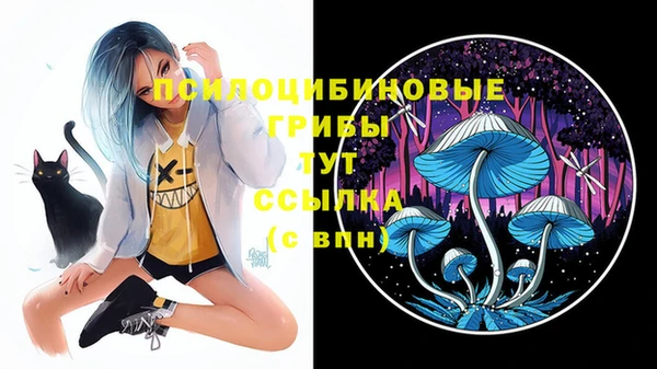 MDMA Premium VHQ Липки