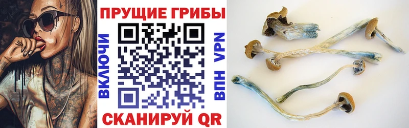 Галлюциногенные грибы прущие грибы  цена   Туран 